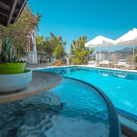 Leila Private Pool * בודרום