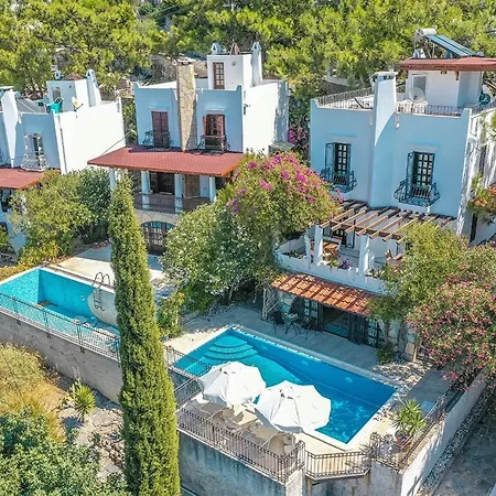 Villa Leila Private Pool