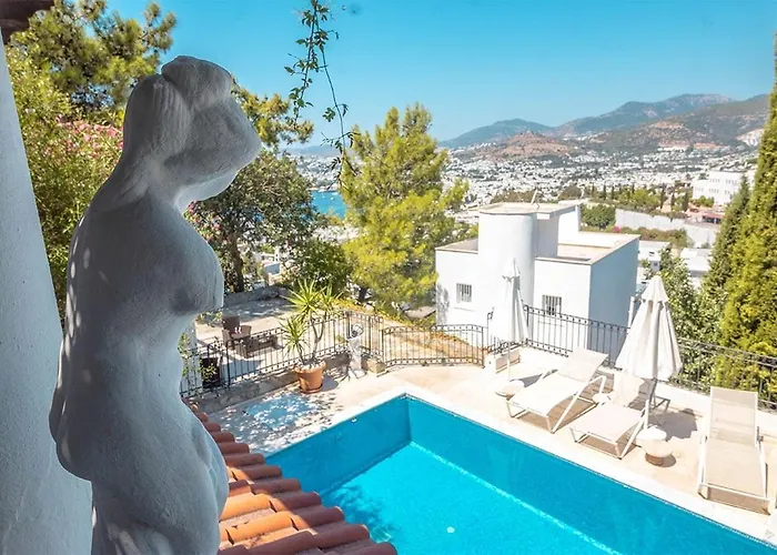Leila Private Pool Villa Bodrum