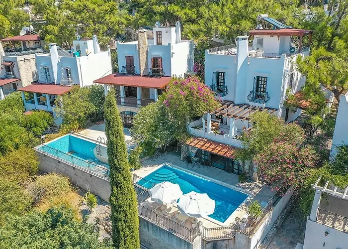 Villa Leila Private Pool